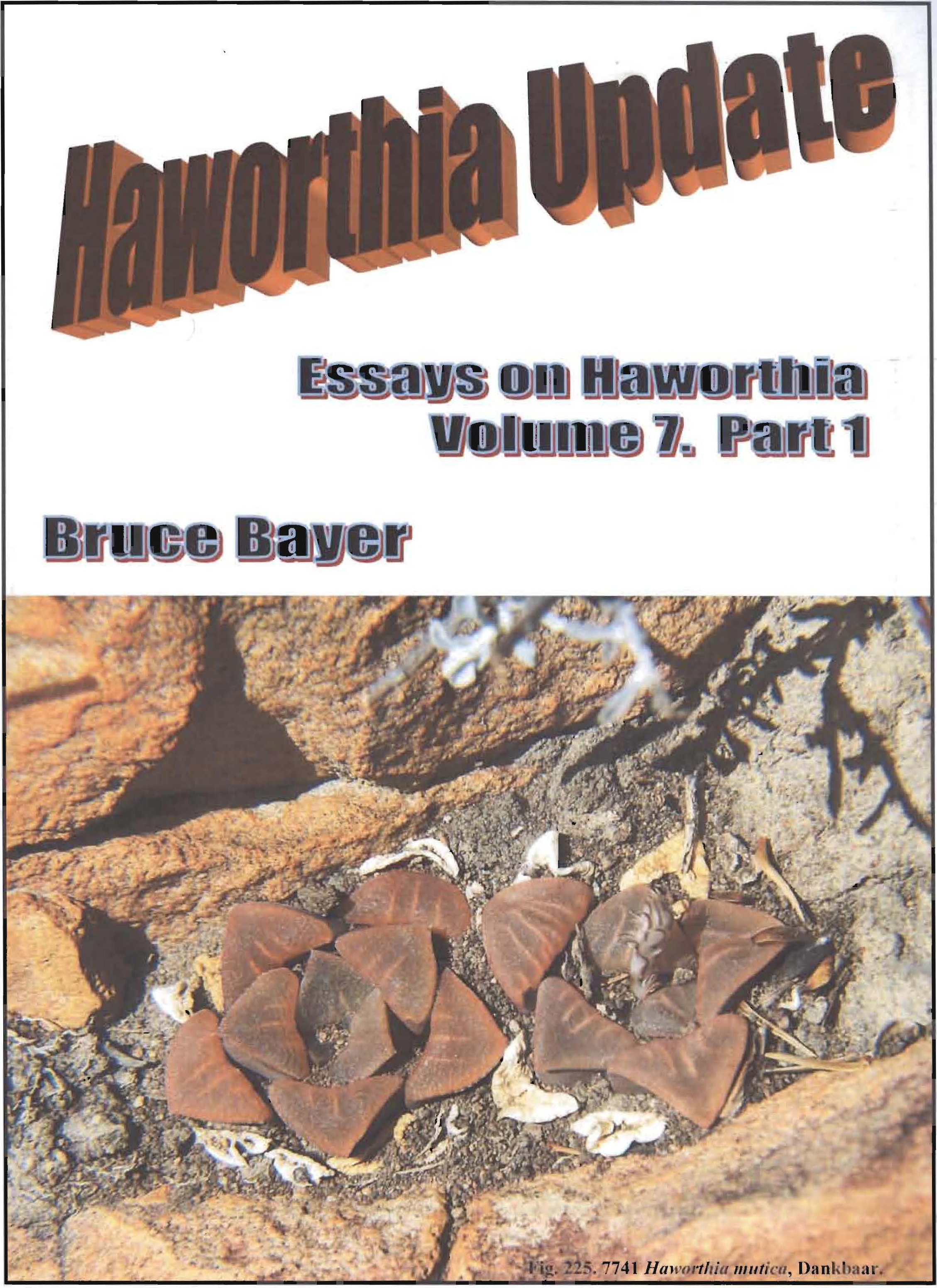 Haworthia Updates vol. 7